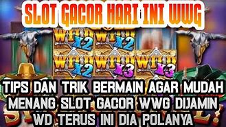 Penikmat Sensational Slot Gacor Hari Ini 🎰 Wwg Megaways Free Play